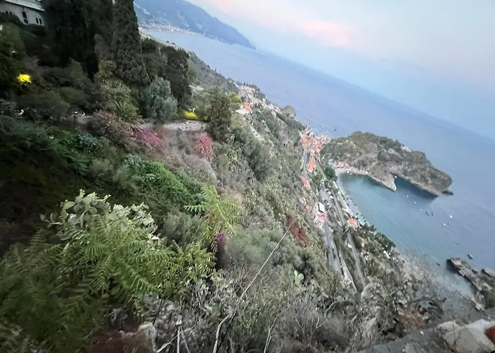 Vakantiehuis Pino Marino *